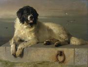 A Distinguished Member of the Humane Society Landseer, Edwin Henry